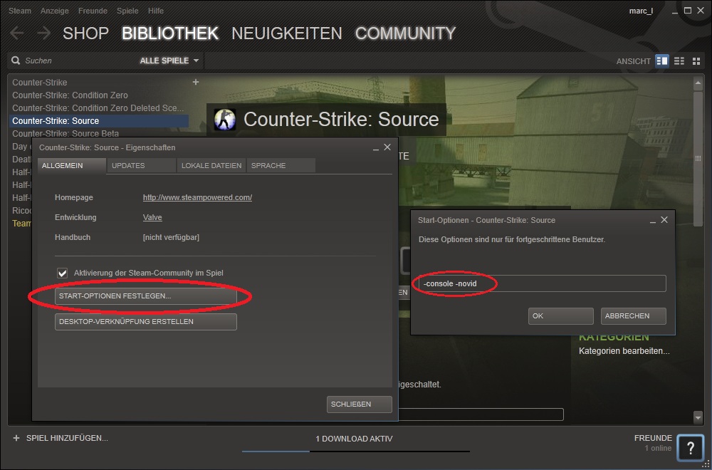 Counter-Strike: Source Intro Video deaktivieren